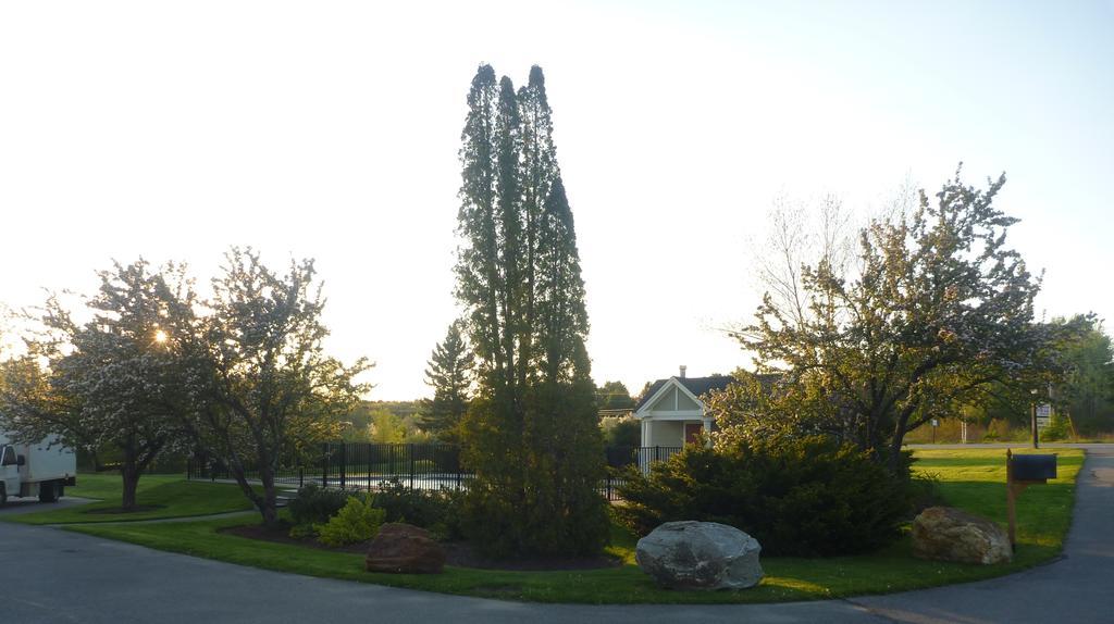 Belfast Harbor Inn Exterior foto